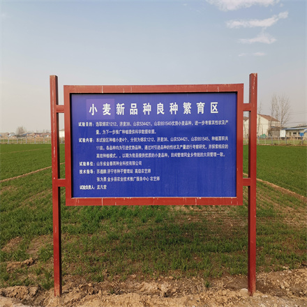 小麦新品种繁育区