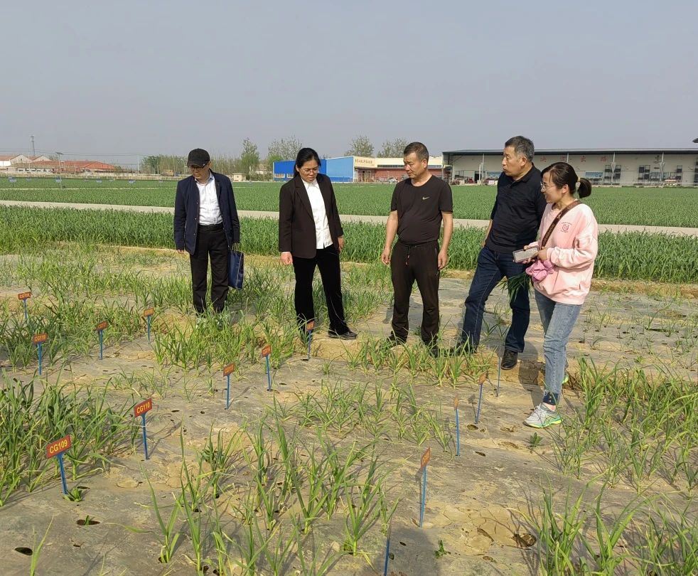 县农业农村局莅临金春雨种业调研指导春季生产工作