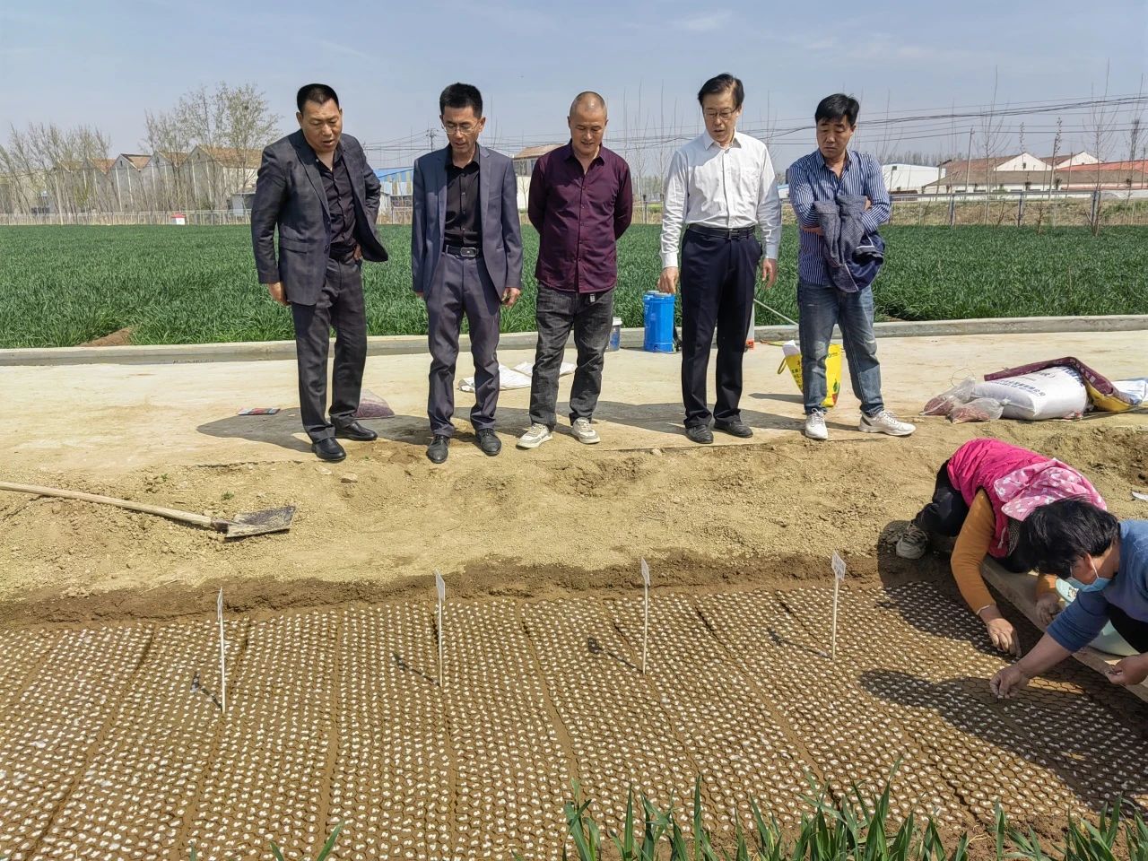 金春雨科技与市质检院携手推进黄河流域棉花试点项目工作