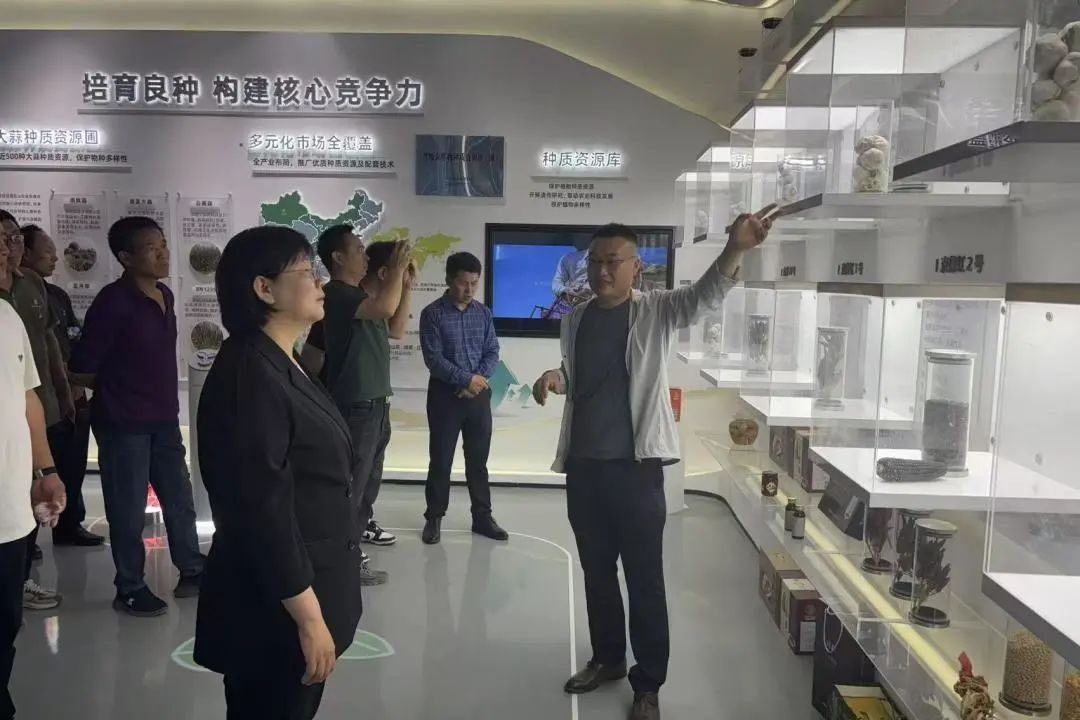 潍坊市安丘市官庄镇镇长崔君梅一行调研金春雨种业，共探种业创新与乡村振兴新路径