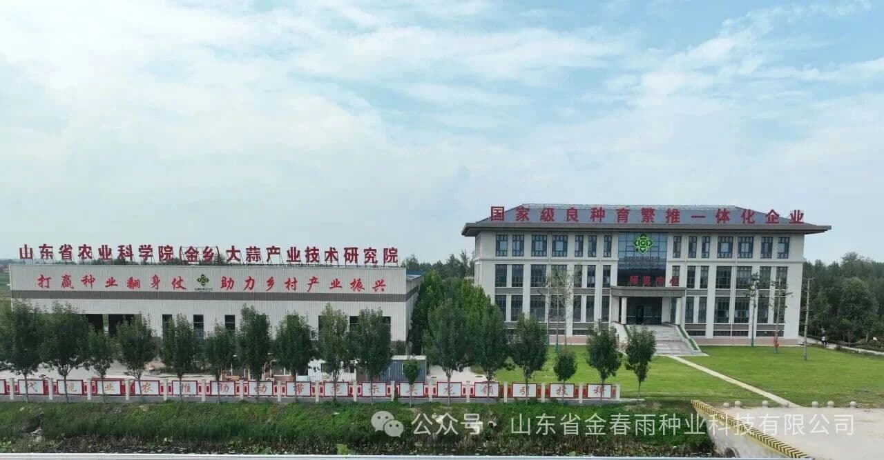 金乡县2026年设施瓜菜种植技术培训会在金春雨种业成功举办