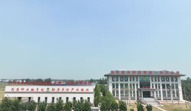 人大常委会调研组莅临金春雨种业研发基地调研“金小研”研学工作